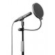Popshield for all microphones